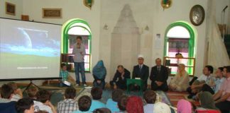 Miz Mostar Aktivnosti