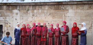 Miz Mostar Aktivnosti