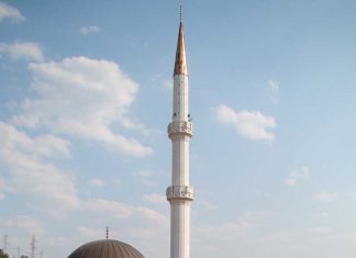 Miz Mostar Aktivnosti