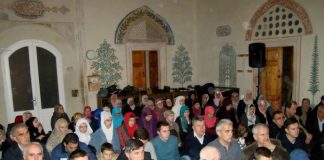 Miz Mostar Aktivnosti