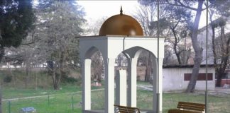 Miz Mostar Aktivnost