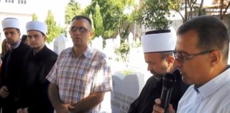 Miz Mostar Aktivnosti
