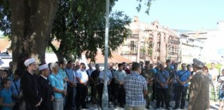 Miz Mostar Aktivnost