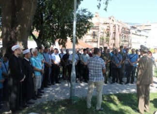 Miz Mostar Aktivnost