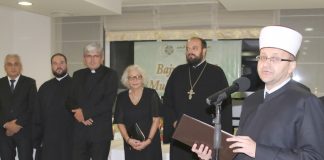 Miz Mostar Aktivnost