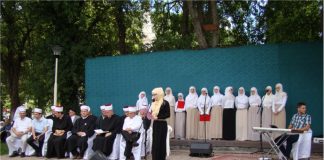 Miz Mostar Aktivnost
