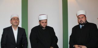 Miz Mostar Aktivnost