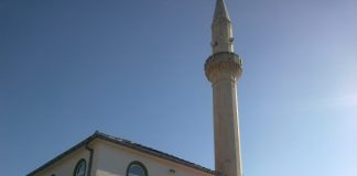 Miz Mostar Aktivnosti