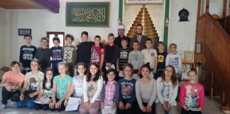 Miz Mostar Aktivnost