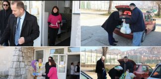 Miz Mostar Aktivnost