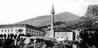 Miz Mostar Aktivnosti