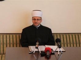 Miz Mostar Aktivnost