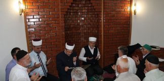 Miz Mostar Aktivnosti