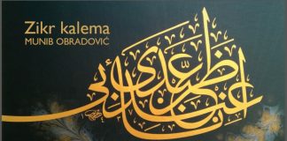 Miz Mostar Aktivnost