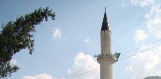 Miz Mostar Aktivnosti
