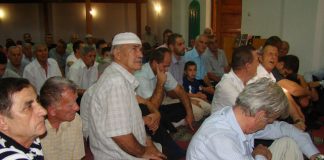 Miz Mostar Aktivnosti