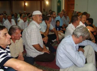 Miz Mostar Aktivnosti