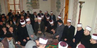 Miz Mostar Aktivnost