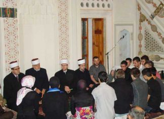 Miz Mostar Aktivnost