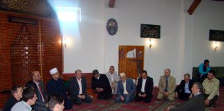 Miz Mostar Aktivnosti