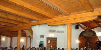 Miz Mostar Aktivnost