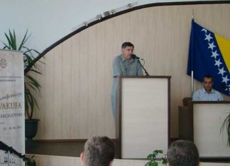 Miz Mostar Aktivnost