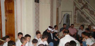 Miz Mostar Aktivnost