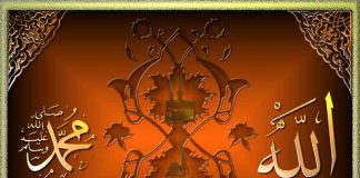 Miz Mostar Aktivnosti