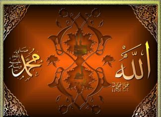 Miz Mostar Aktivnosti