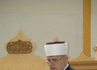 Miz Mostar Aktivnosti