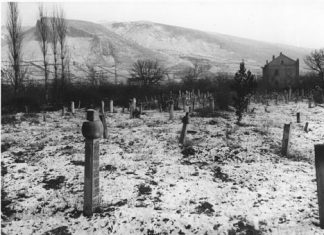 Miz Mostar Aktivnost