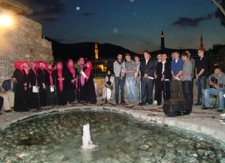 Miz Mostar Aktivnost