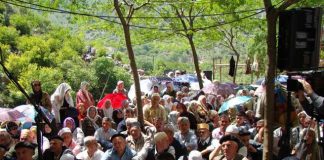 Miz Mostar Aktivnost