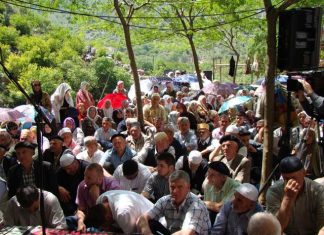 Miz Mostar Aktivnost