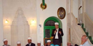 Miz Mostar Aktivnosti