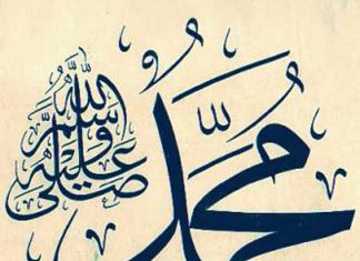 Miz Mostar Aktivnost