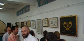 Miz Mostar Aktivnosti