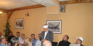 Miz Mostar Aktivnosti