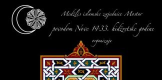 Miz Mostar Aktivnosti