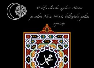 Miz Mostar Aktivnosti