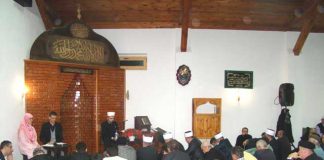 Miz Mostar Aktivnosti