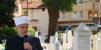 Miz Mostar Aktivnosti