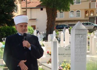 Miz Mostar Aktivnosti