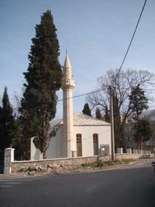 Miz Mostar Aktivnosti