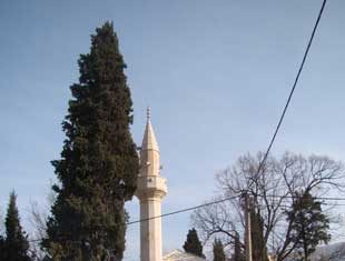 Miz Mostar Aktivnosti