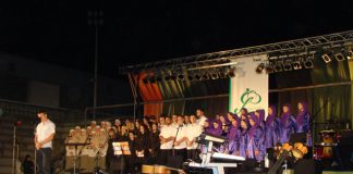 Miz Mostar Aktivnost