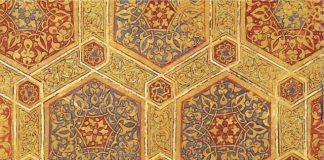 Miz Mostar Aktivnosti