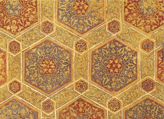 Miz Mostar Aktivnosti