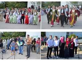 Miz Mostar Aktivnosti