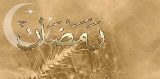 Miz Mostar Aktivnost